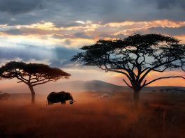 IPCC report calls warming status ‘dire’. What will it take for the world to stand up and listen? IPCC report calls warming status 'dire'. What will it take for the world to stand up and listen