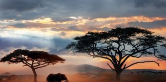 IPCC report calls warming status ‘dire’. What will it take for the world to stand up and listen? IPCC report calls warming status 'dire'. What will it take for the world to stand up and listen