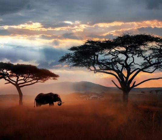 IPCC report calls warming status ‘dire’. What will it take for the world to stand up and listen? IPCC report calls warming status 'dire'. What will it take for the world to stand up and listen