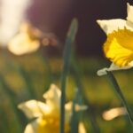 Spring Statement: business rates exemptions for low-carbon equipment and VAT relief for home retrofit