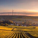 Net zero compliance: what will it look like for business? Net Zero Advice