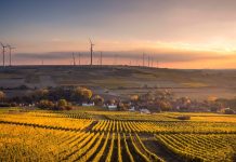 Net zero compliance: what will it look like for business? Net Zero Advice