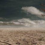 Will the next Tory leader take climate seriously? With many politicians seemingly ignoring climate change, will the next Tory leader take climate seriously?