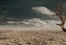 Will the next Tory leader take climate seriously? With many politicians seemingly ignoring climate change, will the next Tory leader take climate seriously?