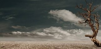 Will the next Tory leader take climate seriously? With many politicians seemingly ignoring climate change, will the next Tory leader take climate seriously?