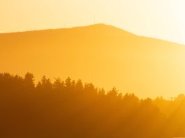 All the evidence points to unprecedented weather events; so is climate change here? Recent scorching weather across the UK and Europe has led many to conclude we are now seeing concrete evidence of human-led global warming.