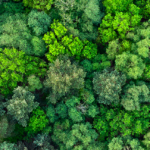 Net Zero Guide guide to net zero by energy advice hub banner 1