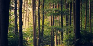 UK government Transition Plan Taskforce considers Just Transition The Transition Plan Taskforce (TPT) are working on a technical briefing paper incorporating Just Transition principles.