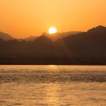 COP27: A business briefing COP27 takes place in November, and comes amid yet another period of global turmoil. Here's our business briefing on what to expect.