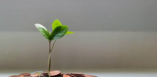 Autumn Budget 2022: the energy and carbon takeaways 2022 Autumn Statement