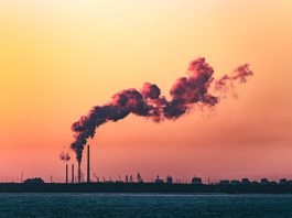 COP27: 200+ business and civil society voices pledge urgent support for 1.5C COP27: 200+ business and civil society voices pledge urgent support for 1.5C