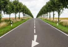 ISO launches Net Zero Guidelines to drive corporate transparency Net Zero Guidelines