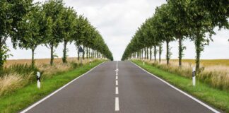 ISO launches Net Zero Guidelines to drive corporate transparency Net Zero Guidelines