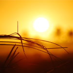 51% of listed public companies to exceed 2°C, says new MSCI report