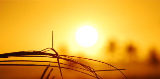 51% of listed public companies to exceed 2°C, says new MSCI report