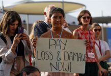 Three surprising moments at COP27 Three surprising moments at COP27