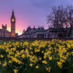 After COP27: What’s next for the UK? After COP27 What's next for the UK