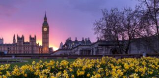 After COP27: What’s next for the UK? After COP27 What's next for the UK