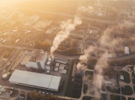 Carbon offsetting: Can new standards increase industry accountability? Carbon offsetting: Can new standards increase industry accountability?