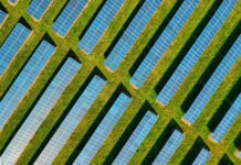 Government sets out plans to reform Capacity Market for net zero Government sets out plans to reform Capacity Market for net zero