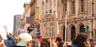 Carbon removal banned by investor group worth $11trn Carbon removals banned by $11trn company