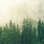 Why your business should be cautious about “carbon neutral” product claims Why your business should be cautious about “carbon neutral” product claims