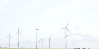 UK hydrogen economy is at ‘critical juncture,’ says RenewableUK