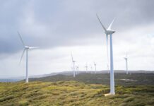 Record high of UK electricity is generated by renewables, says Energy Trends Report Record high of UK electricity is generated by renewables, says Energy Trends Report