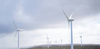 Record high of UK electricity is generated by renewables, says Energy Trends Report Record high of UK electricity is generated by renewables, says Energy Trends Report