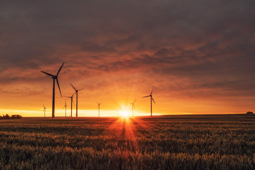 Onshore wind hits headlines again. What does it mean for business, bills, and the net zero transition?