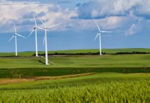 The EII Renewables Levy Exemption Scheme: A quick guide The EII Renewables Levy Exemption Scheme: A quick guide