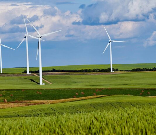 Renewable levies and current exemptions: a guide for EIIs The EII Renewables Levy Exemption Scheme: A quick guide