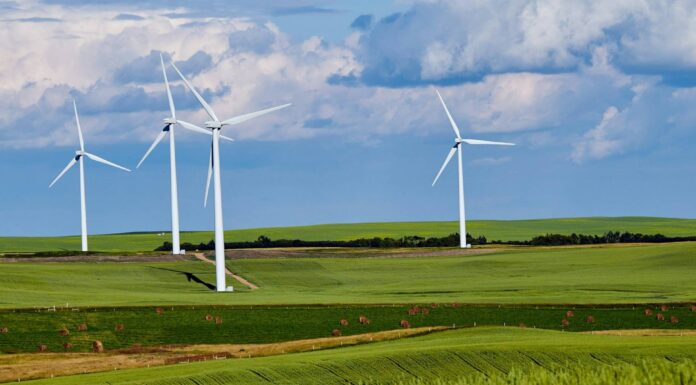 Renewable levies and current exemptions: a guide for EIIs The EII Renewables Levy Exemption Scheme: A quick guide
