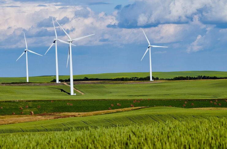 Renewable levies and current exemptions: a guide for EIIs The EII Renewables Levy Exemption Scheme: A quick guide