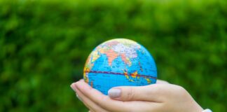 Why your business should join the growing B Corp movement Why your business should join the B Corp movement