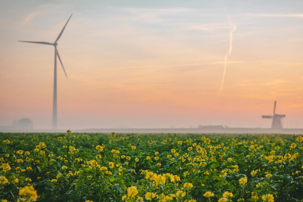 UK businesses: your carbon & energy compliance forecast for 2024