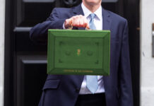 Spring Budget 2024: What’s new for the green economy?