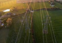 REMA reform: what could it mean for your business? REMA reform: what could it mean for your business?