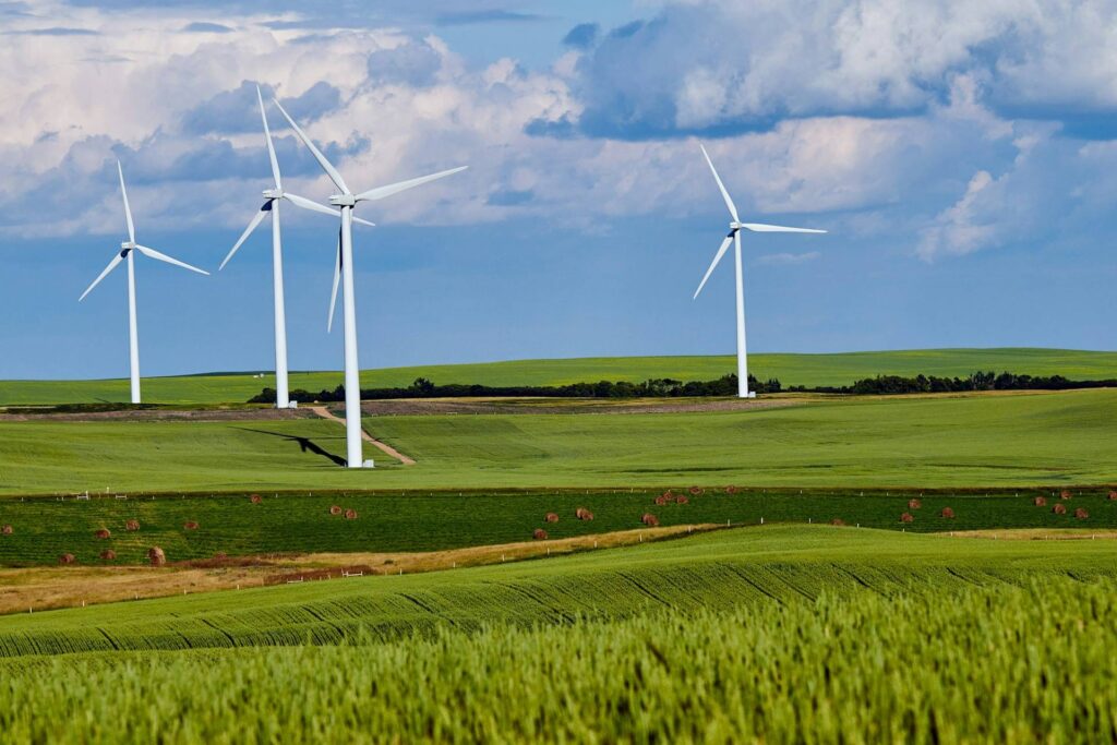 Wind turbines in a grass field on a sunny day