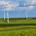 Polling shows strong support for pro-renewables policies Wind turbines in a grass field on a sunny day