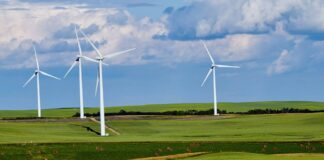 Polling shows strong support for pro-renewables policies Wind turbines in a grass field on a sunny day