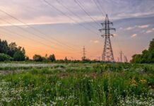 Not just for Christmas: could the Demand Flexibility Service run all year round? Not just for Christmas: could the Demand Flexibility Service run all year round?