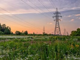 Not just for Christmas: could the Demand Flexibility Service run all year round? Not just for Christmas: could the Demand Flexibility Service run all year round?