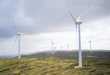 Welsh Government launches publicly-owned renewable energy developer Wind turbines blend in against a bright grey sky as the Welsh Government launches publicly-owned renewable energy developer