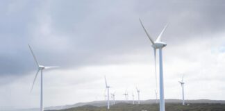 Welsh Government launches publicly-owned renewable energy developer Wind turbines blend in against a bright grey sky as the Welsh Government launches publicly-owned renewable energy developer