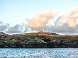 Clean Power 2030 Action Plan: What it means for the energy sector and UK business Clean Power 2030 Action Plan: What it means for the energy sector and UK business