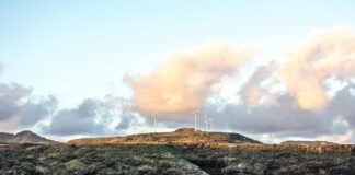 Clean Power 2030 Action Plan: What it means for the energy sector and UK business Clean Power 2030 Action Plan: What it means for the energy sector and UK business