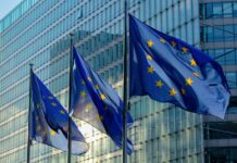 EU Sustainability Reporting