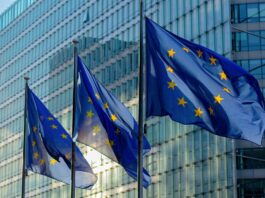 EU sustainability reporting: Understanding the Omnibus proposal EU Sustainability Reporting