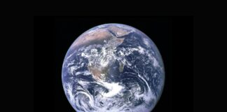 Sustainability, ESG, net zero: What’s the difference? Your business explainer Sustainability, ESG, Net Zero: What’s The Difference?